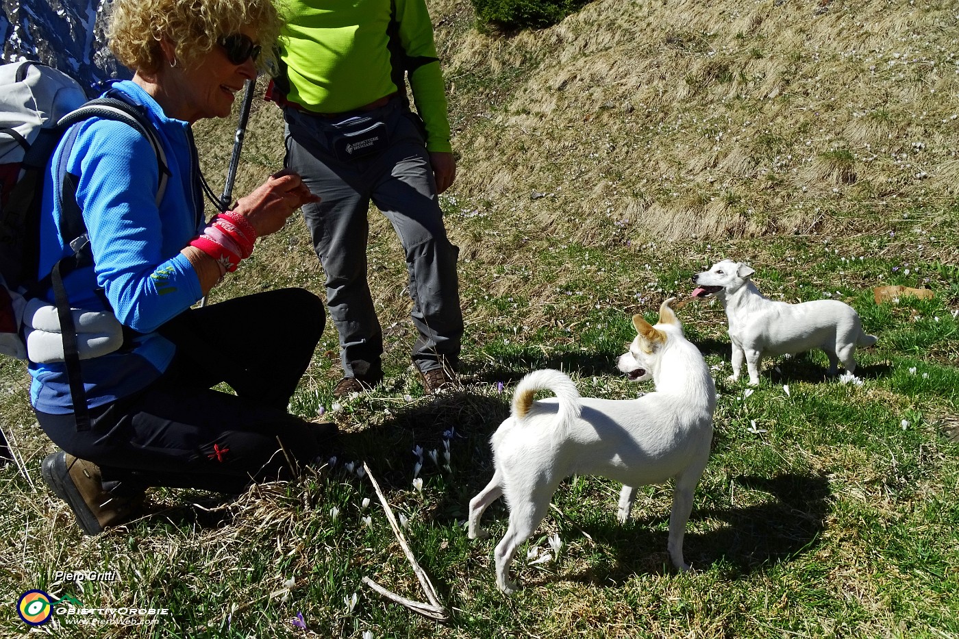 24 Stelina incontra una cagnolina quasi tutta come lei.JPG -                                